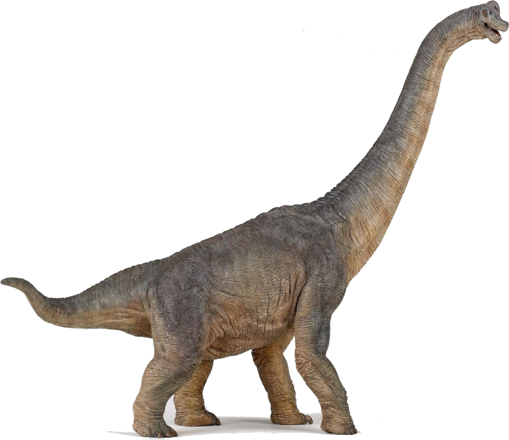 Dinosaurs Download HD PNG PNG Image