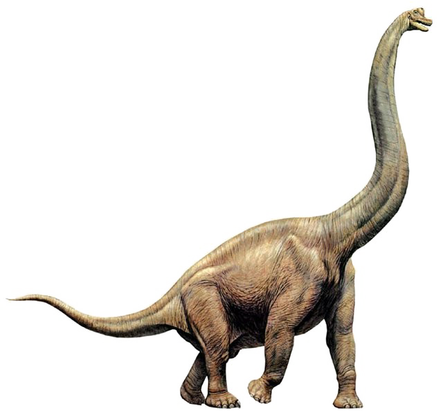 Diplodocus Download HQ PNG PNG Image