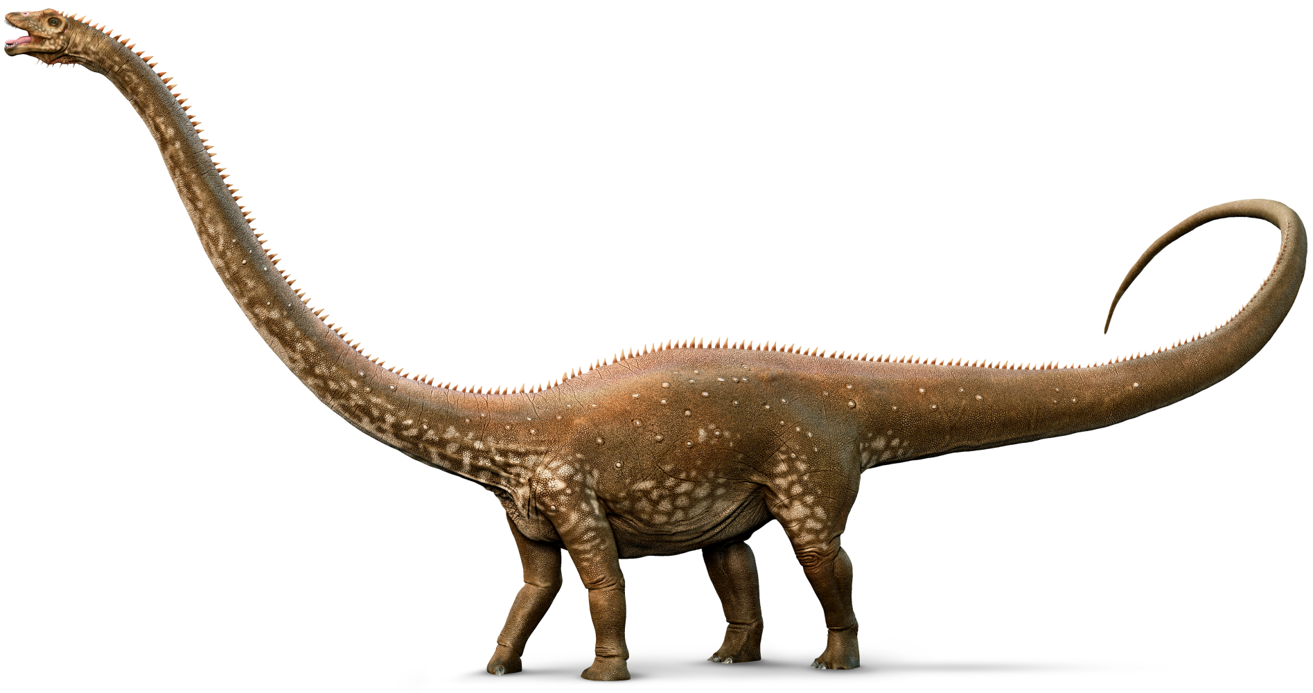 Diplodocus Picture PNG File HD PNG Image