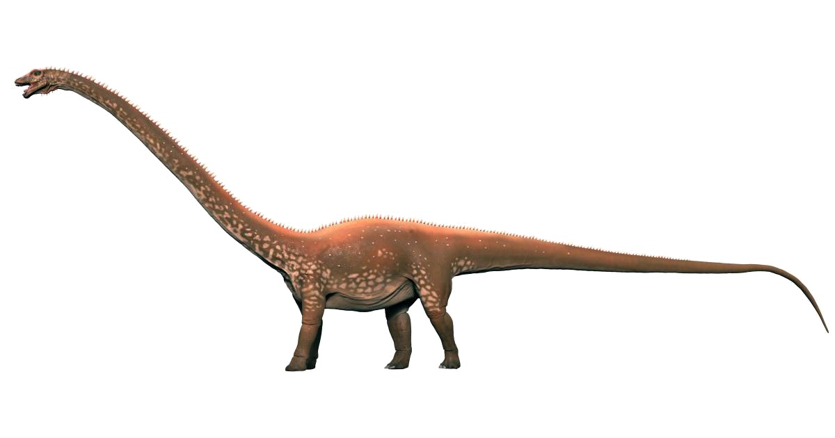 Diplodocus Free Download PNG HQ PNG Image