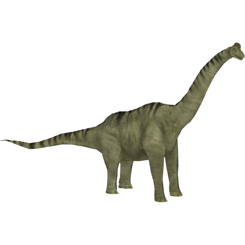 Brachiosaurus Free Download PNG HD PNG Image