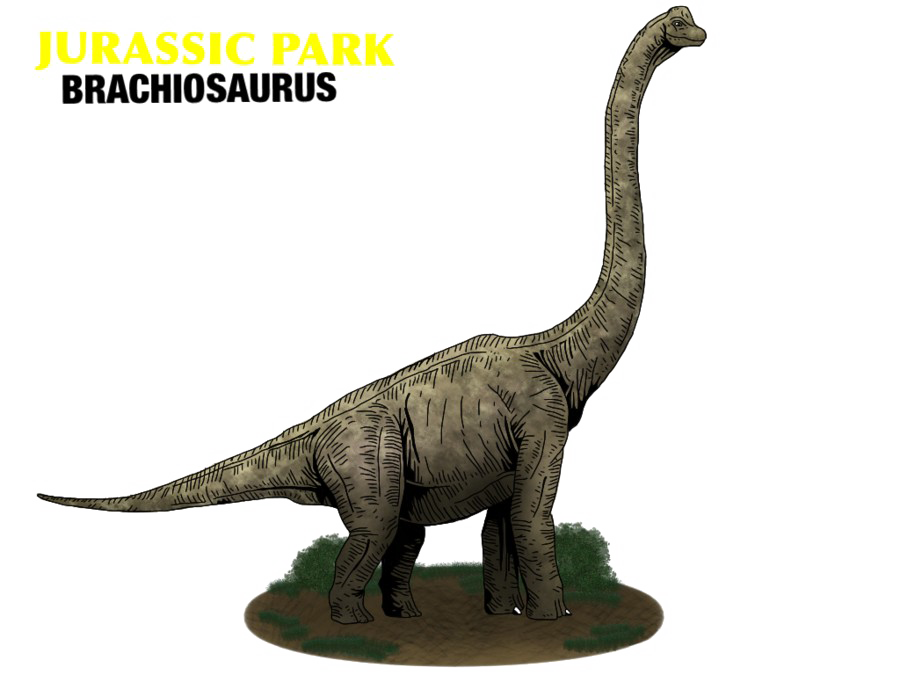 Brachiosaurus Free Download PNG HD PNG Image