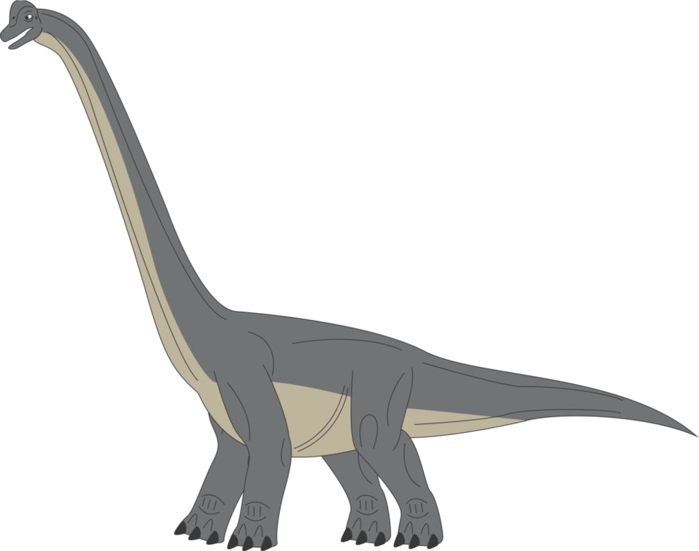 Brachiosaurus Picture Free Clipart HD PNG Image