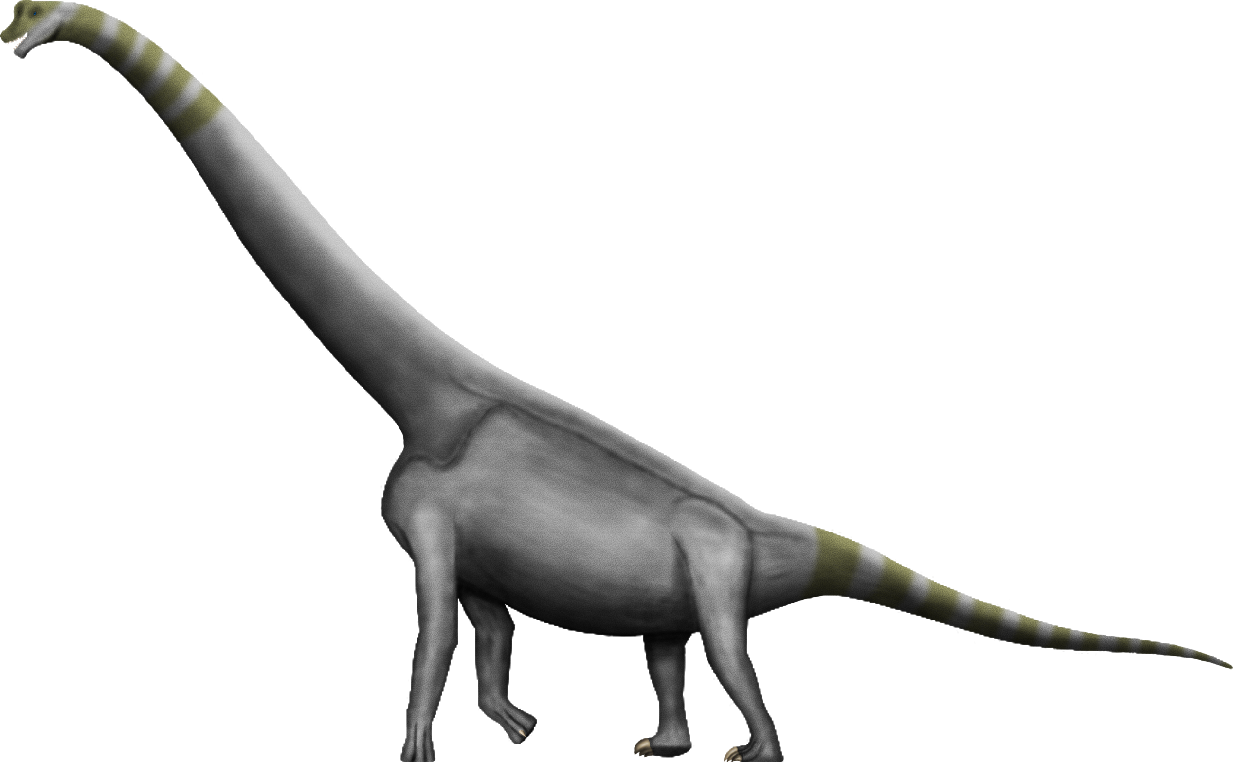 Brachiosaurus Free Download Image PNG Image