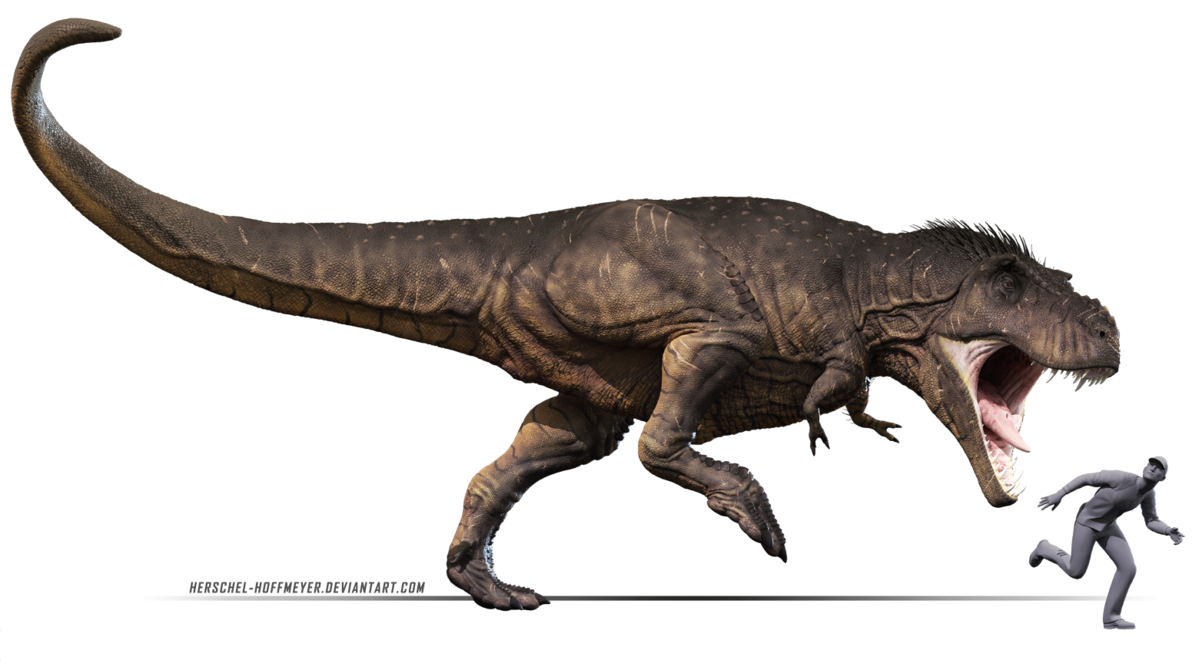 T Rex Free Download Image PNG Image