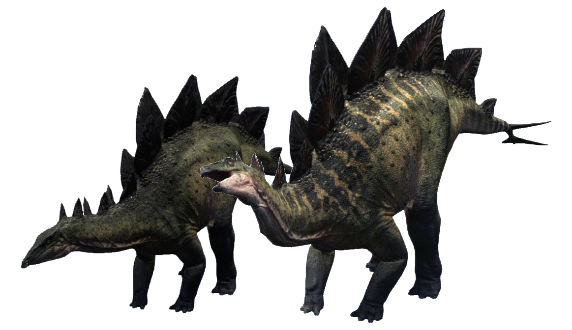 Stegosaurus Free Download Image PNG Image