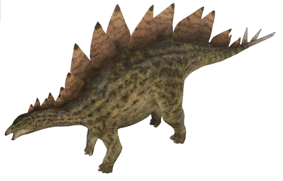 Stegosaurus Image Free Transparent Image HD PNG Image