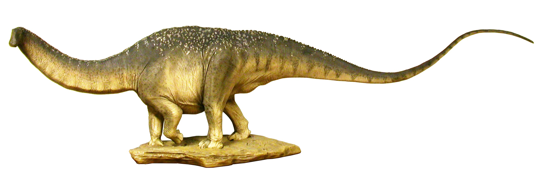 Sauropod Download HD PNG PNG Image