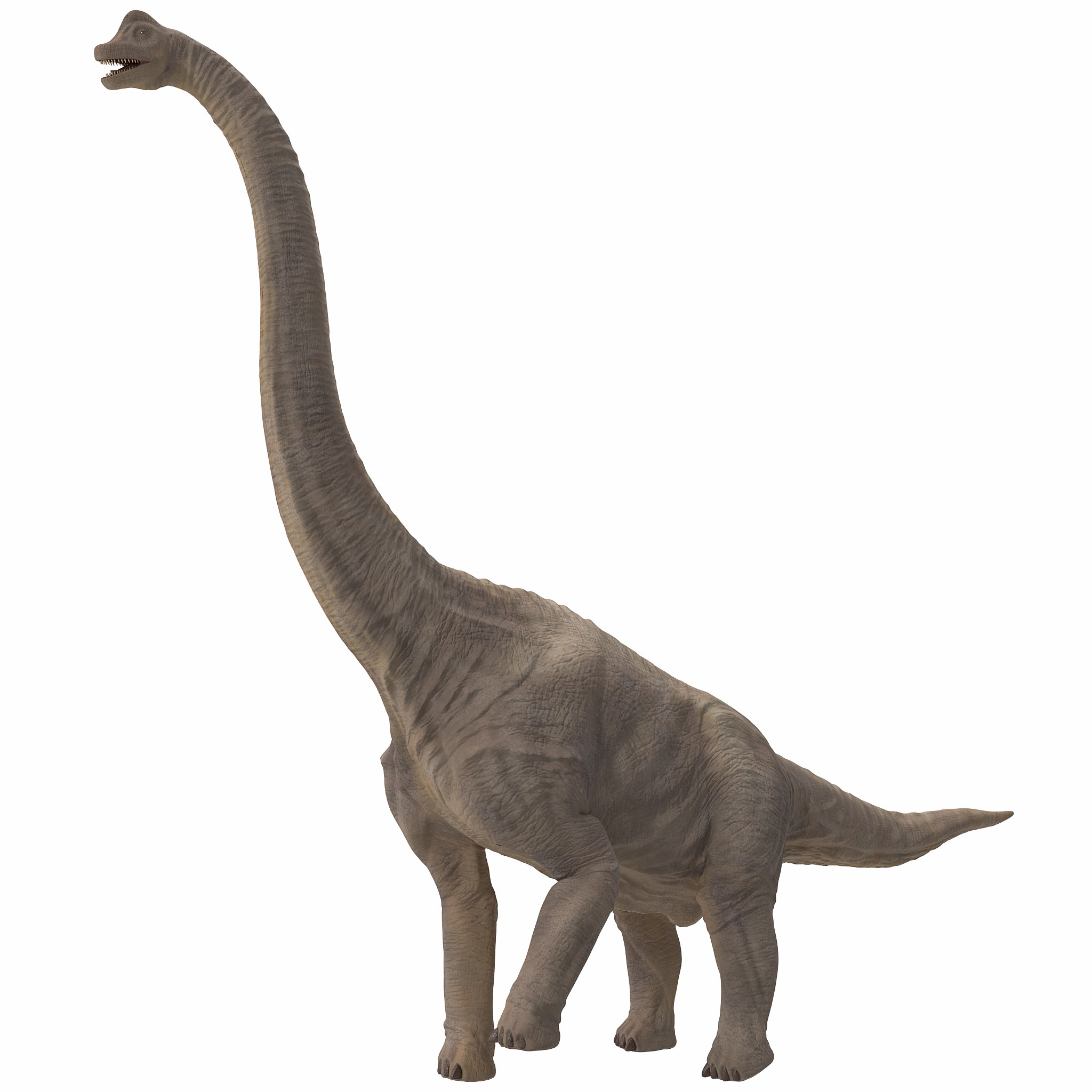 Sauropod Free Download PNG HQ PNG Image