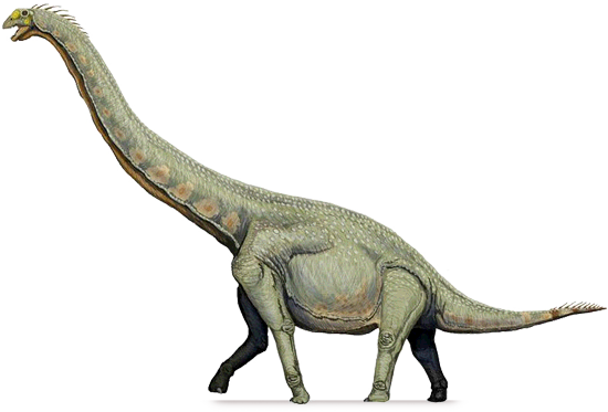 Sauropod Download Free Download Image PNG Image