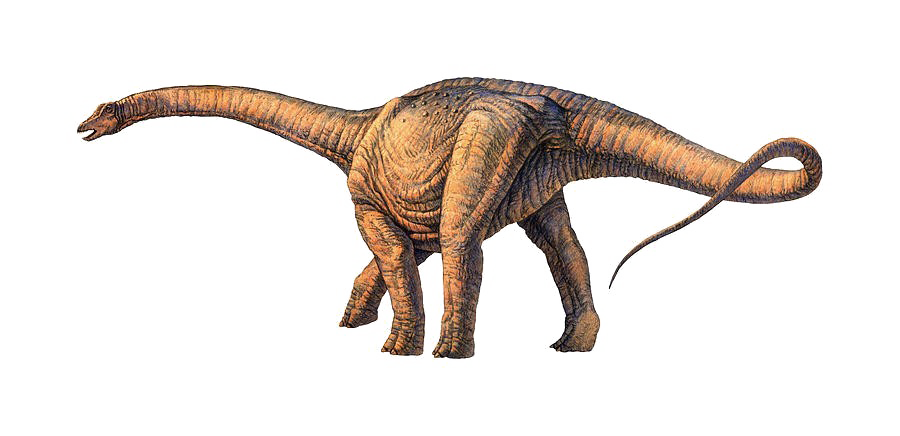 Sauropod Image PNG Free Photo PNG Image