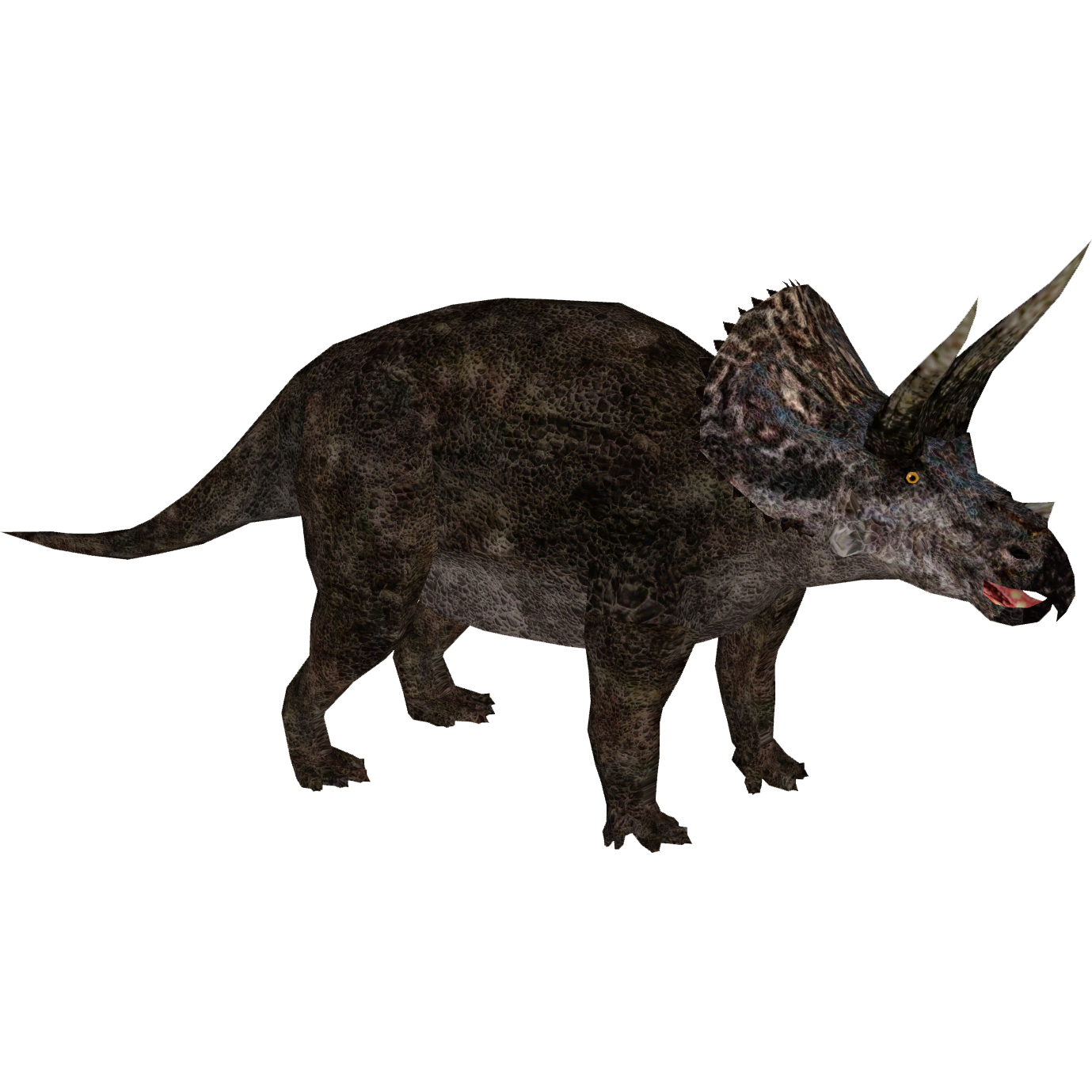 Triceratop Download PNG Free Photo PNG Image