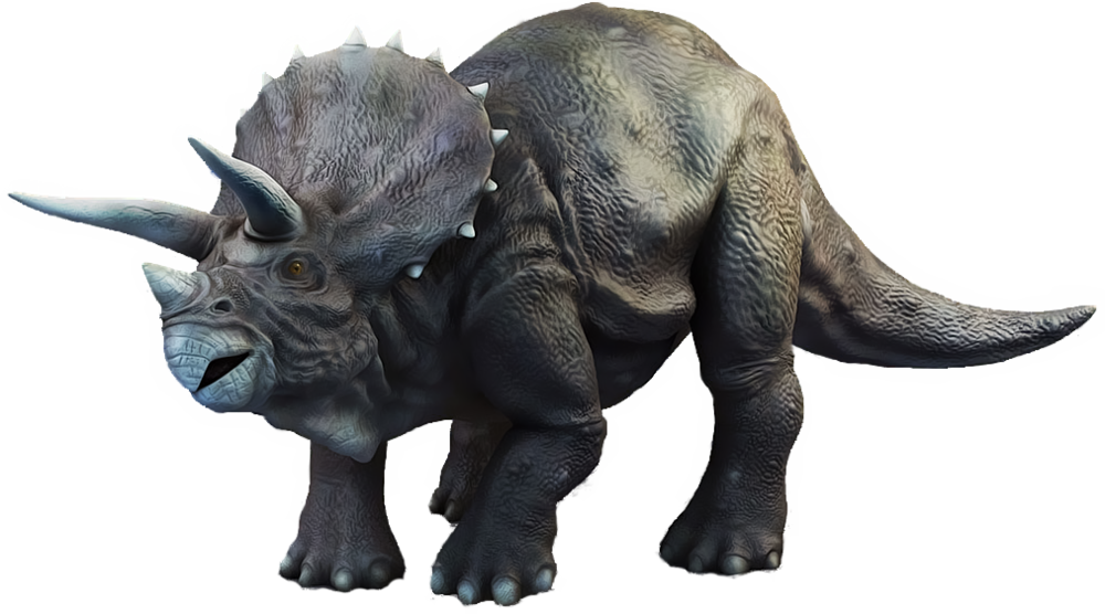 Triceratop Picture Free Download PNG HQ PNG Image