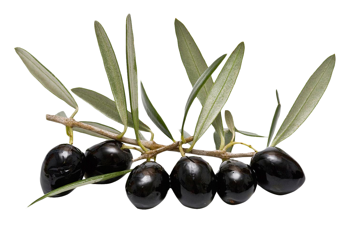 Olive Transparent Background PNG Image