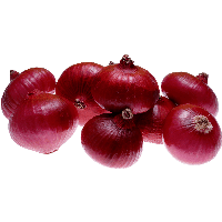 Red Onion Png Image