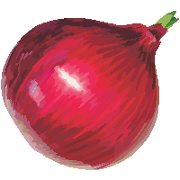 Red Onion Png Image