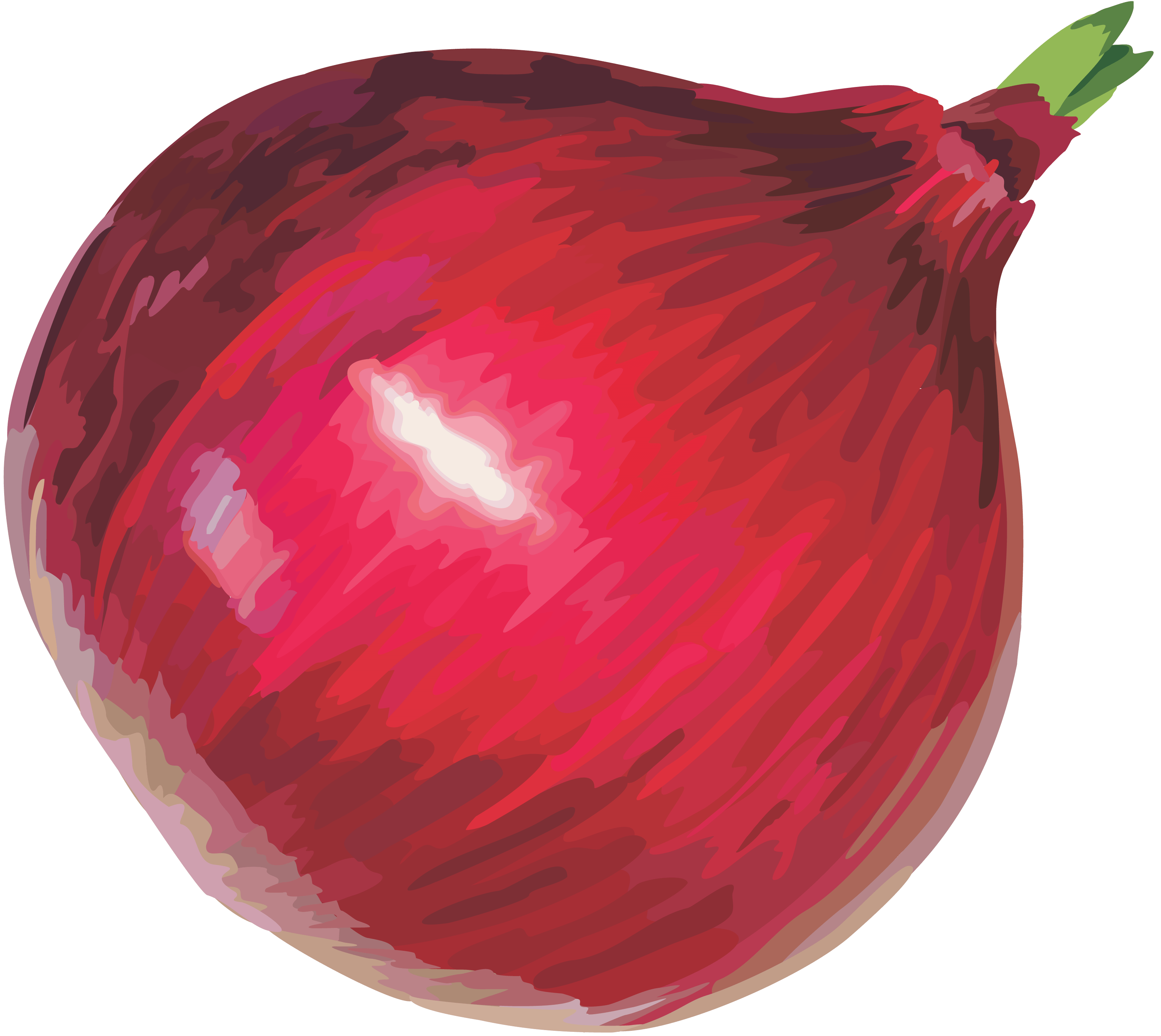Red Onion Png Image PNG Image