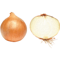 Onion Png Image