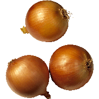 Onion Png Image