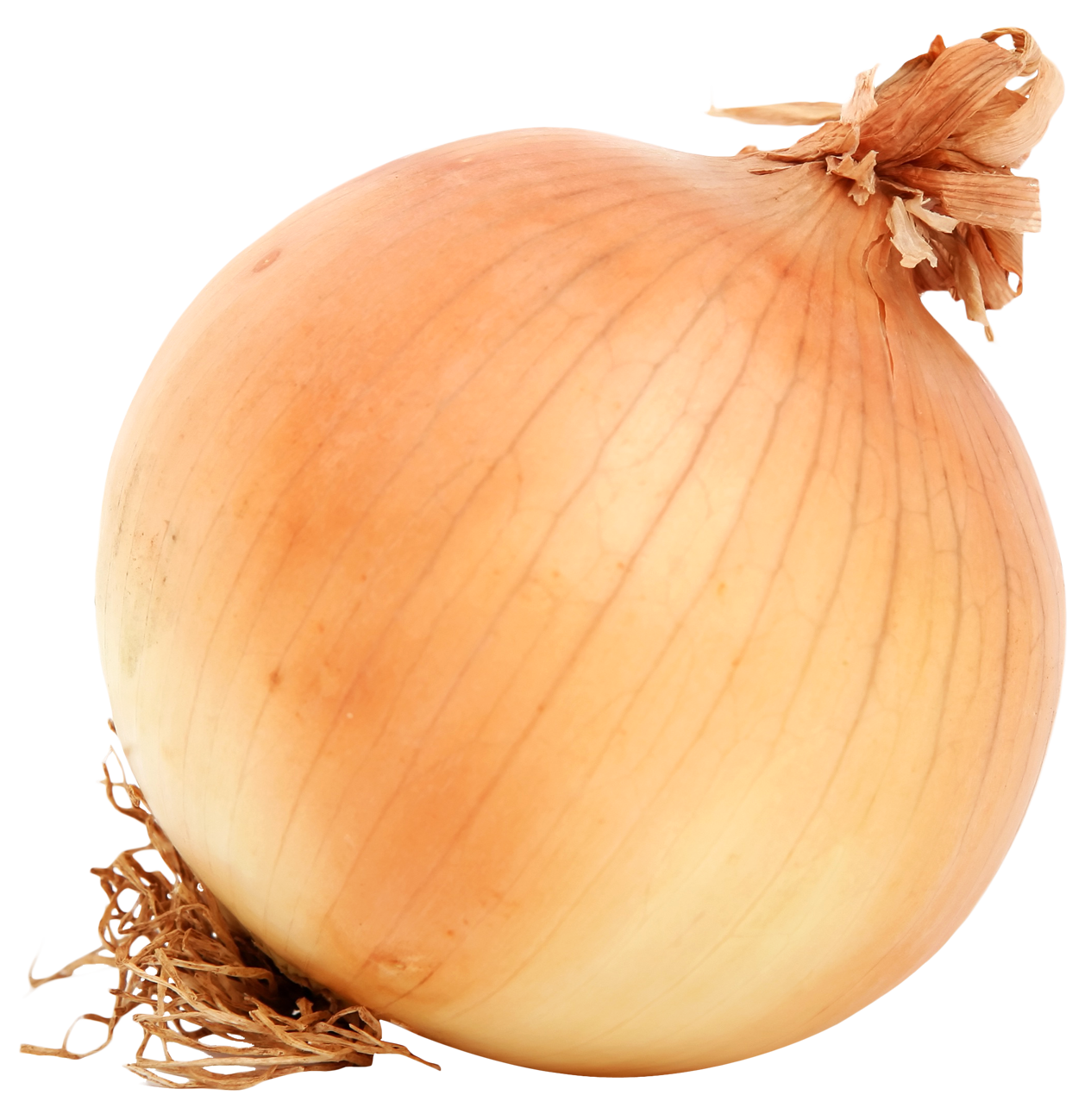 Brown Onion PNG Image High Quality PNG Image