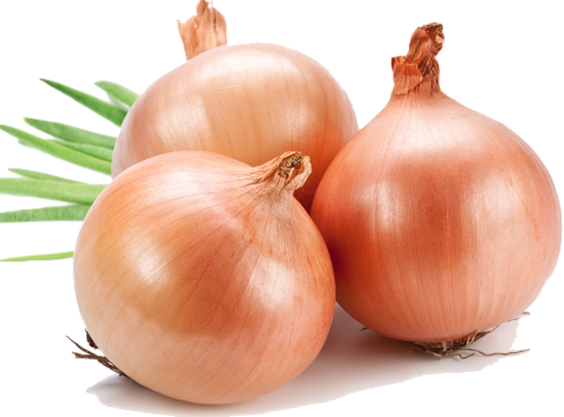 Brown Pic Onion Bunch Free Download Image PNG Image