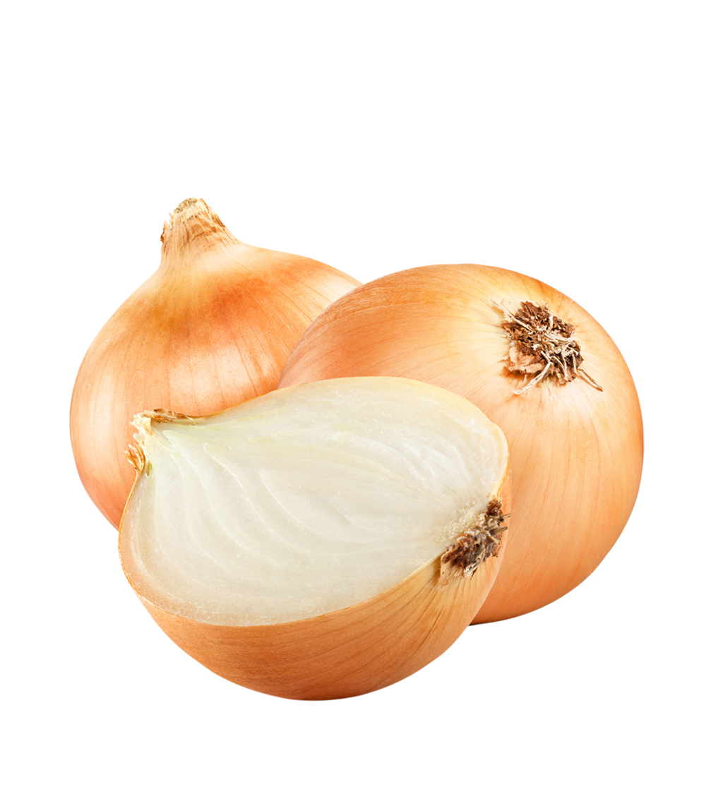 Brown Slice Onion Photos PNG File HD PNG Image