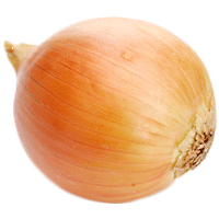 Onion Png Image Download Picture