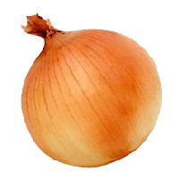 Onion Png Image Download Picture