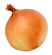 Onion Png Image Download Picture PNG Image