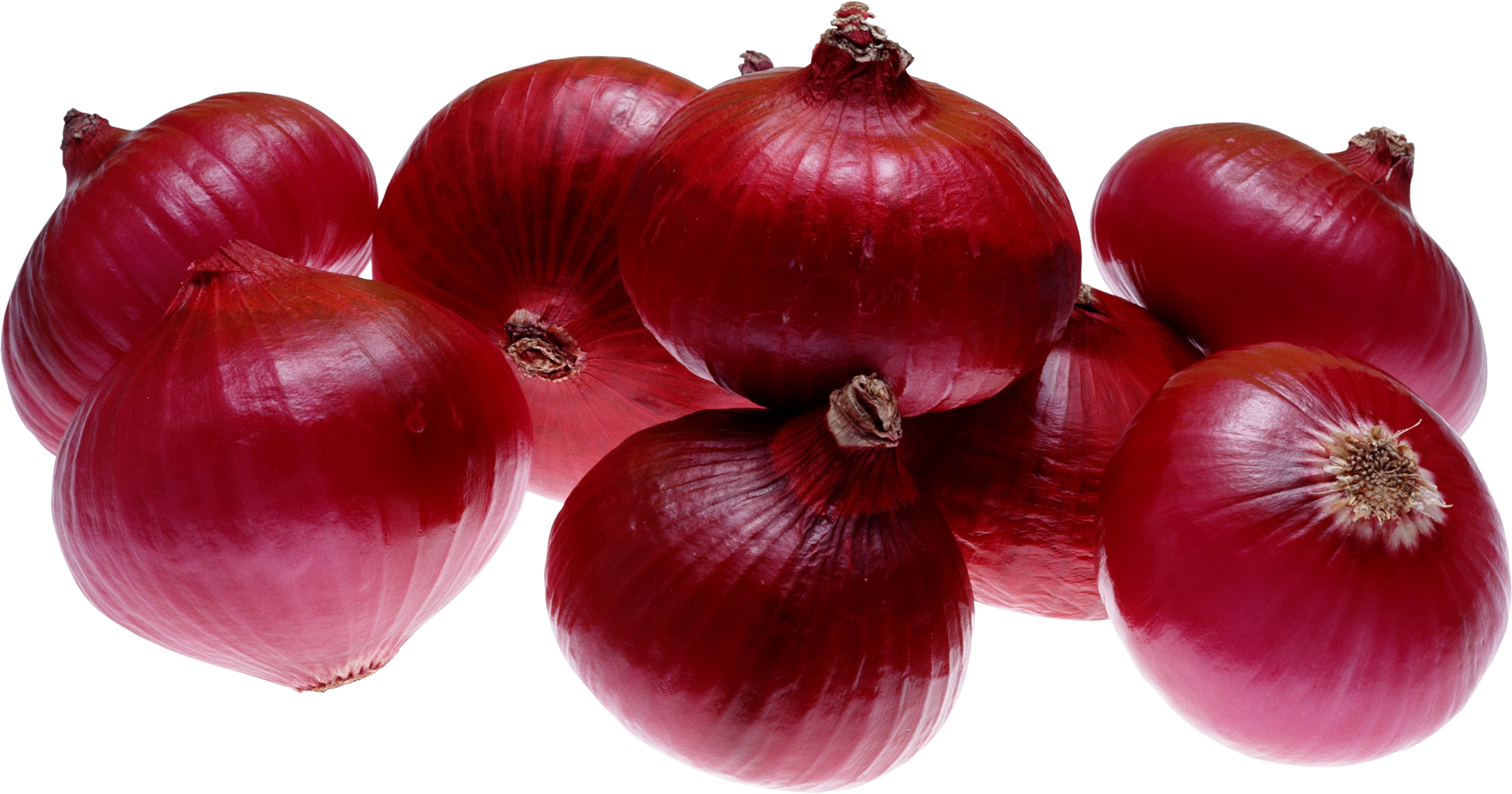Fresh Onion PNG Image High Quality PNG Image