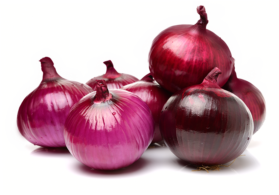 Fresh Onion Photos PNG Free Photo PNG Image
