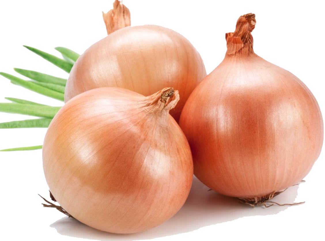 Onion Free Clipart HD PNG Image