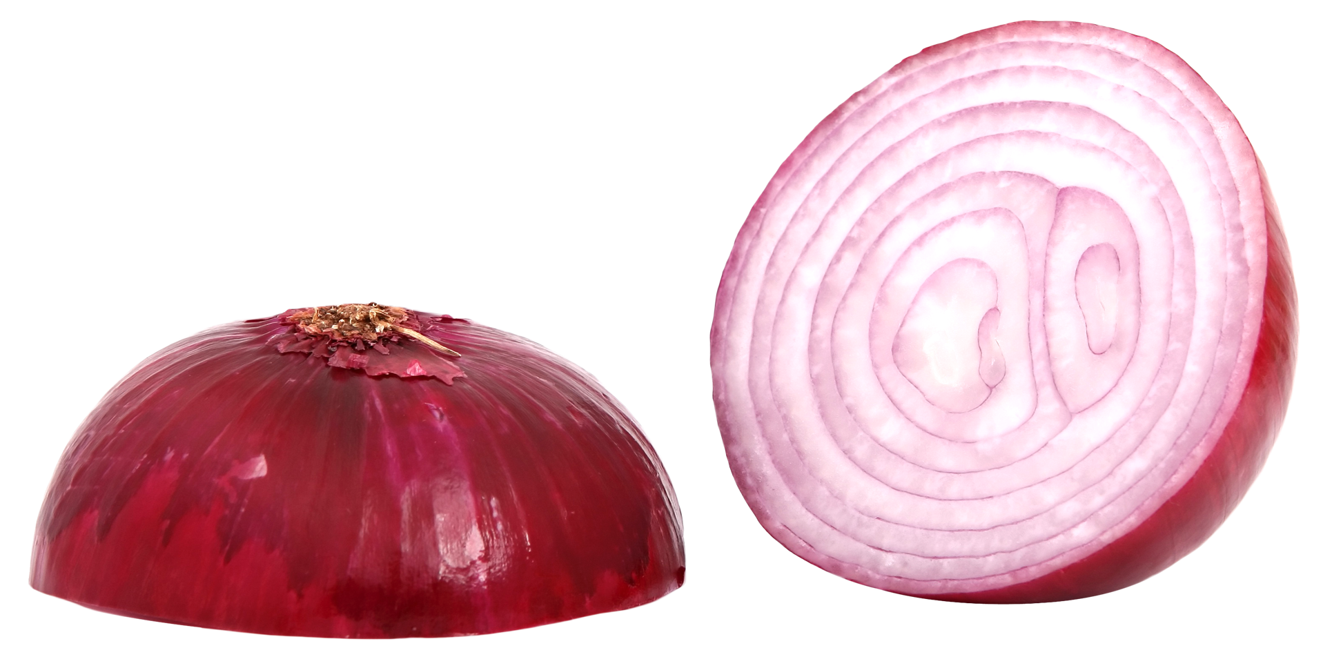 Slice Onion Download Free Image PNG Image