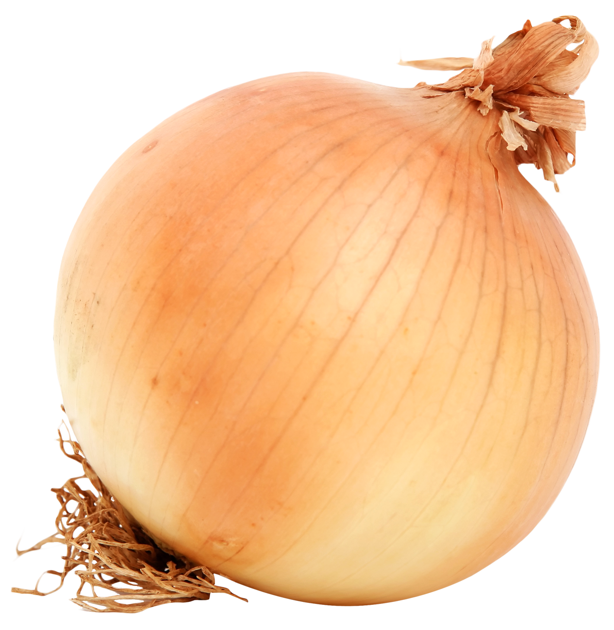 Onion Free Transparent Image HD PNG Image