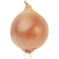 Onion Png Image