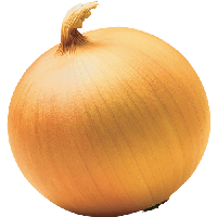 Onion Png Image Download Picture