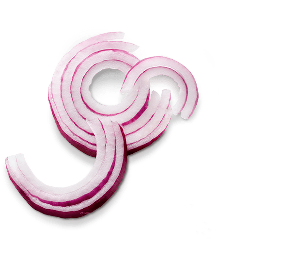 Onion Slice PNG Image