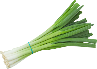 Green Onion Clipart PNG Image