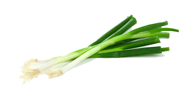 Green Onion Transparent PNG Image