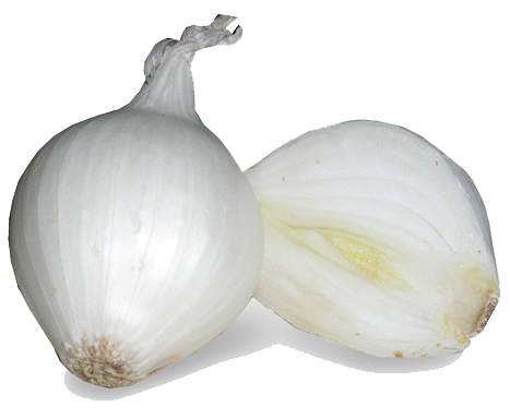 White Onion Image PNG Image