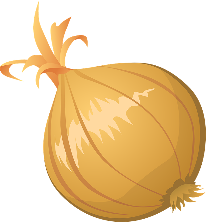 Onion Vector Clipart PNG Image