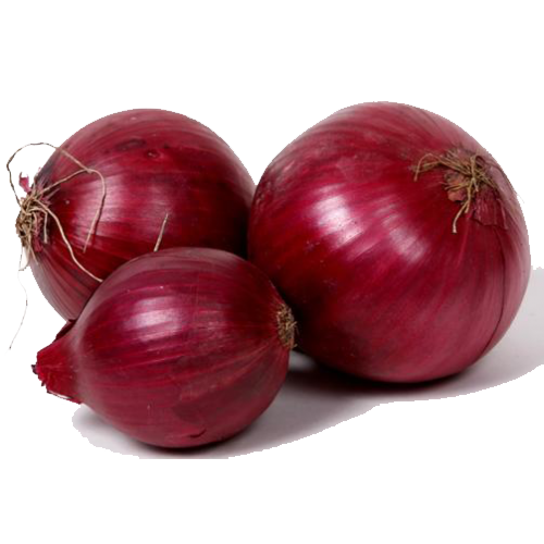 Red Onion PNG Image