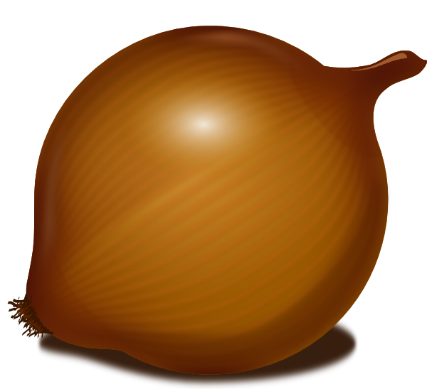 Onion Vector Image PNG Image