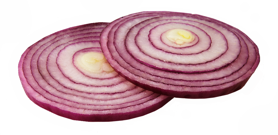 Onion Slice Clipart PNG Image