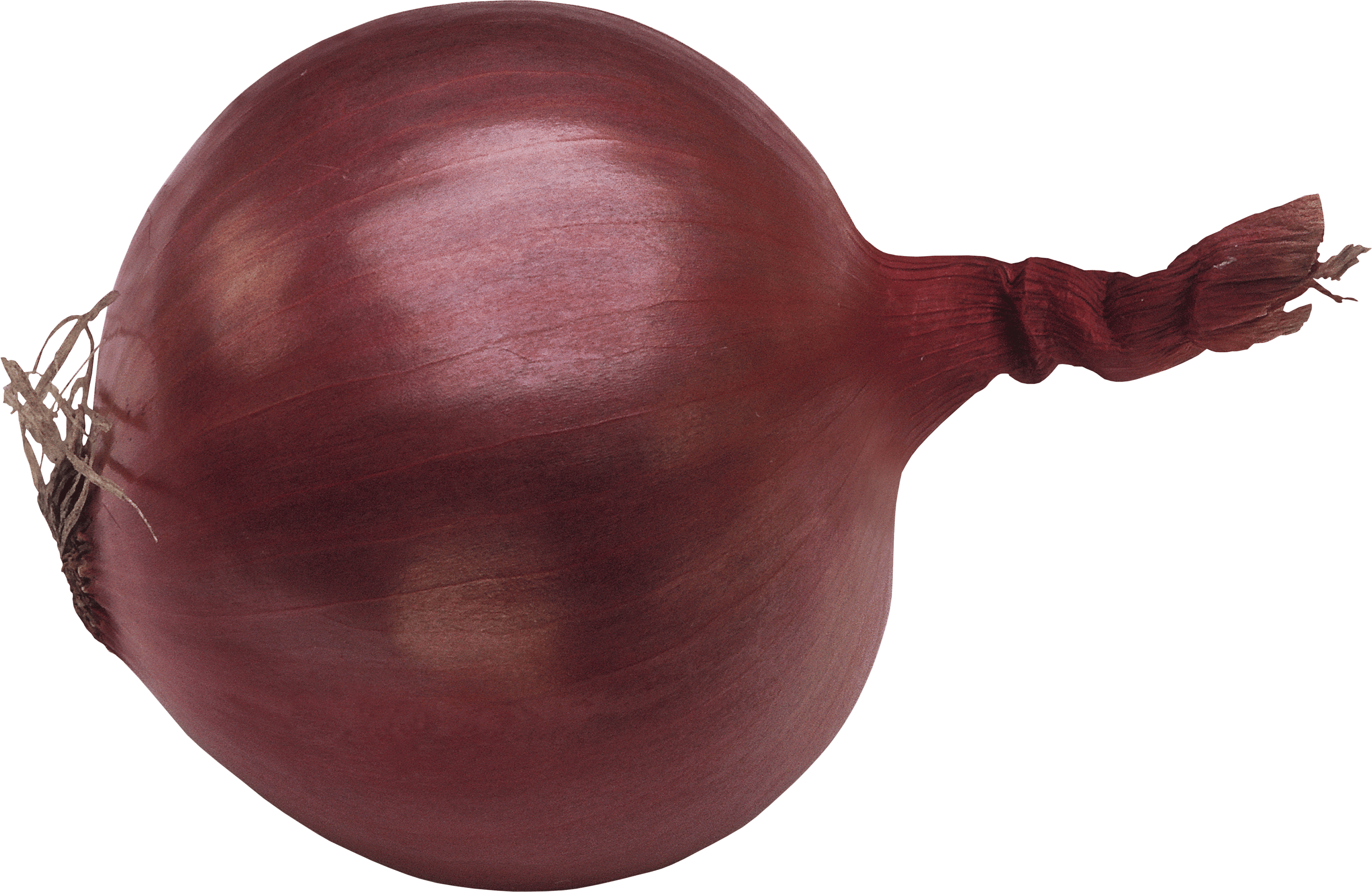 Onion Png Image PNG Image