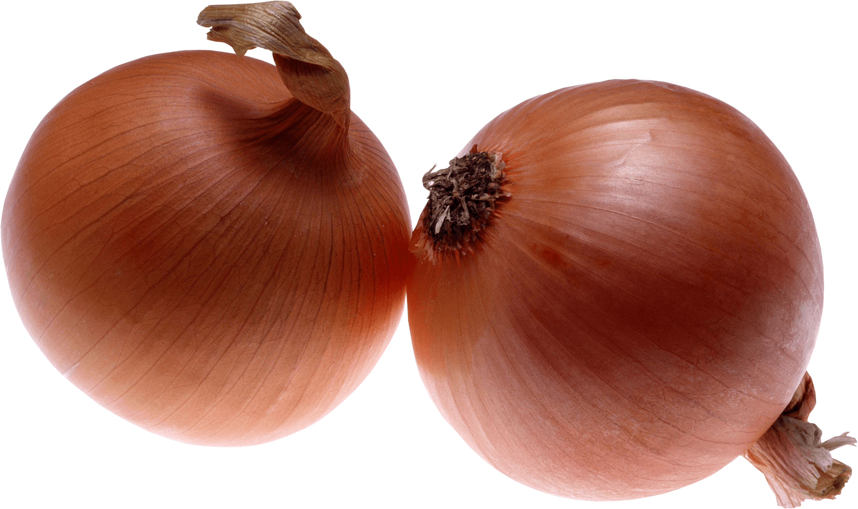 Onion Png Image PNG Image
