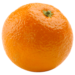 Orange Png Image Download PNG Image