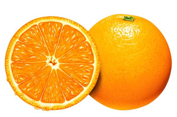 Orange Png Image Download PNG Image