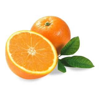 Orange Png Image Download PNG Image