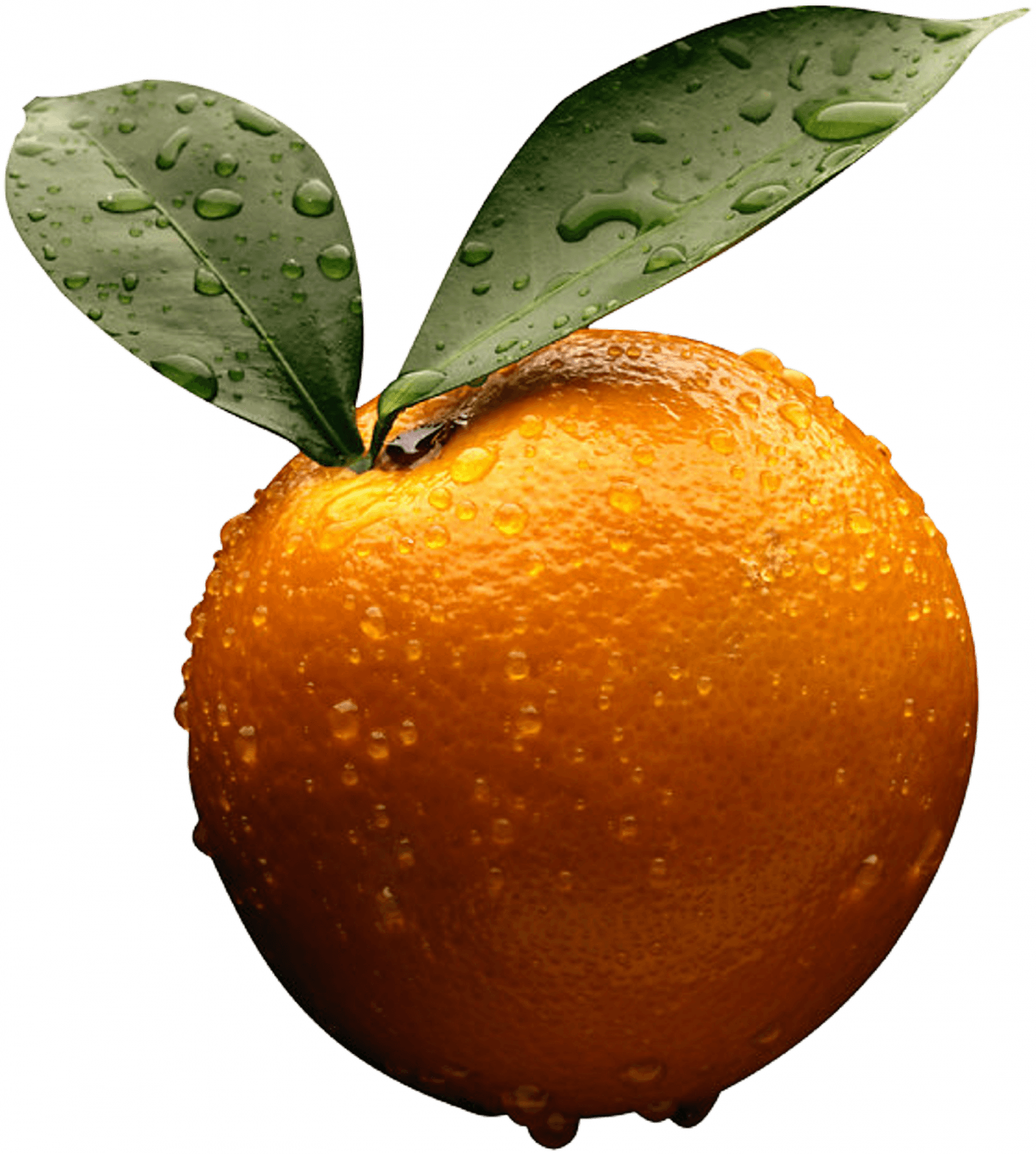 Orange Png Image Download PNG Image